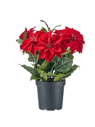 UV Velvet Potted Poinsettia