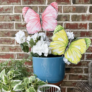 Beck’s Pink & Yellow Butterfly, Medium