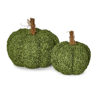 Buckwheat Husk Pumpkin