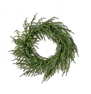 Just Cut Norfolk Pine Wreath