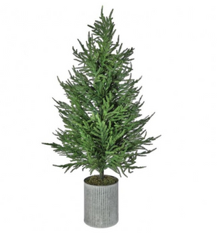 Potted Natural Touch Norfolk Pine Tree, 50"