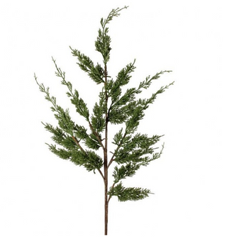 Real Touch Cyprus Spray