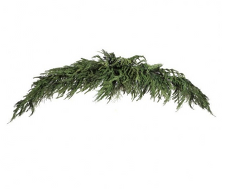 Luxury Cyprus Norfolk Pine Swag