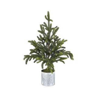 Potted Norway Spruce Tree, 36"