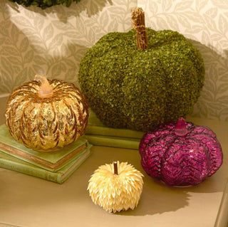 Buckwheat Husk Pumpkin