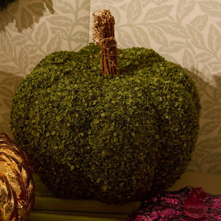 Buckwheat Husk Pumpkin