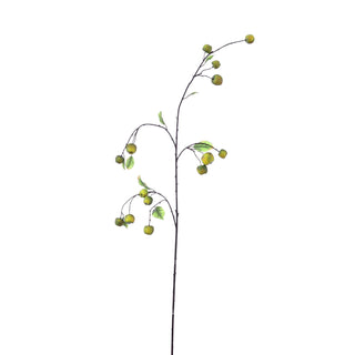 Crabapple Spray