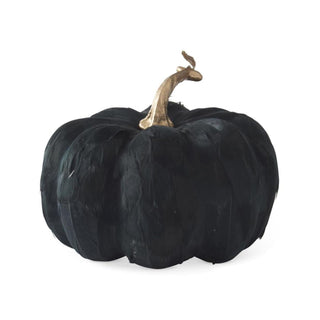 Black Feather Pumpkin