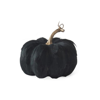 Black Feather Pumpkin