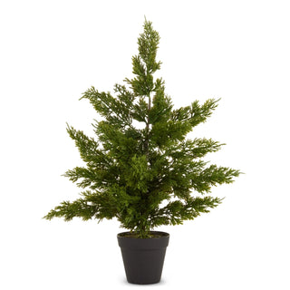 Potted Cedar Tree, 24"