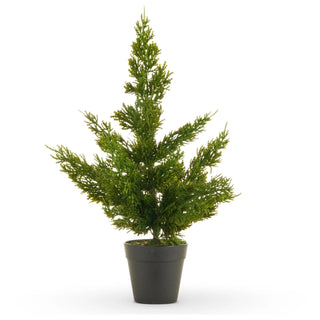 Potted Cedar Tree, 17"