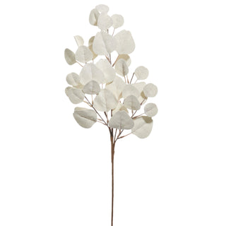 White Eucalyptus Spray