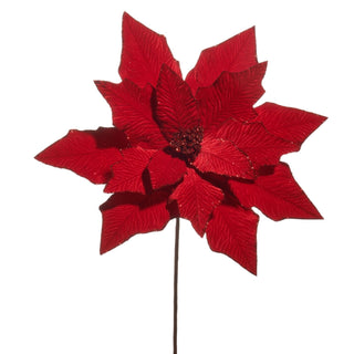 Regal Red Poinsettia Stem