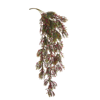 Hanging Pepper Berry Branch