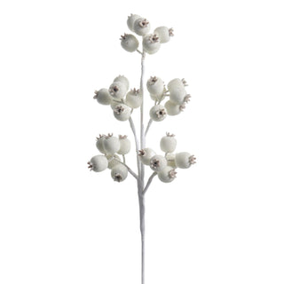 Iced White Berry Pod Spray