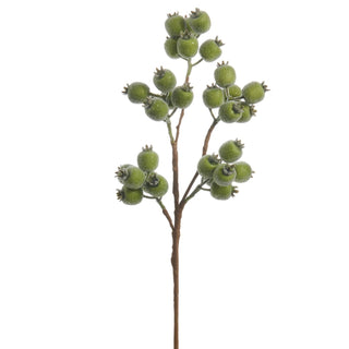 Iced Green Berry Spray