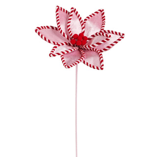 Pink and Peppermint Poinsettia Stem