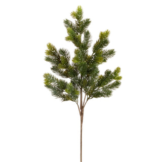 Pine Branch Spray