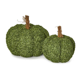Buckwheat Husk Pumpkin