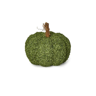 Buckwheat Husk Pumpkin