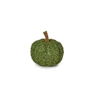 Buckwheat Husk Pumpkin