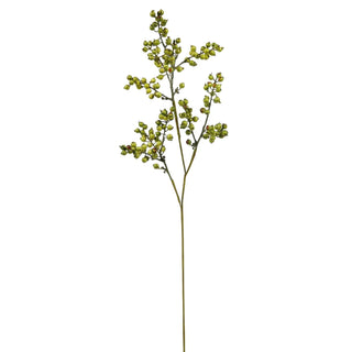 Hip Berry Branch