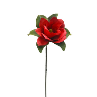 Red Magnolia Stem