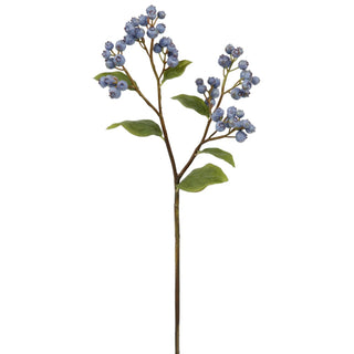Blueberry Stem