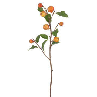 Petite Pear Branch Stem
