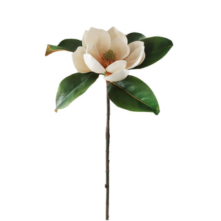 Cream Magnolia Stem
