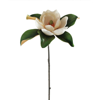 Cream Magnolia Bloom Stem
