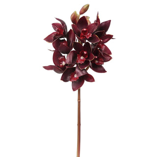Burgundy Cymbidium Orchid Stem