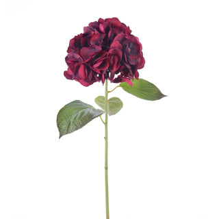 Burgundy Hydrangea Stem