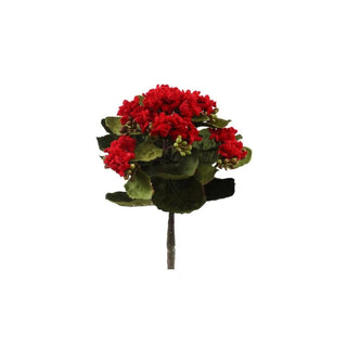 Holiday Velvet Kalanchoe Bush