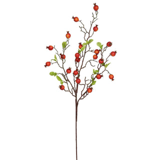 Little Pomegranate Cluster Spray
