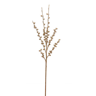 Sugar Berry Stem