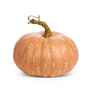 5" Harvest Pumpkin