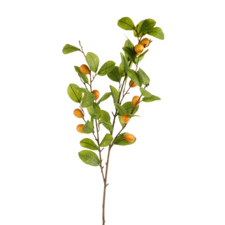 37" Autumn Kumquat Branch