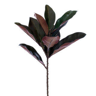 Green Magnolia Leaf Spray
