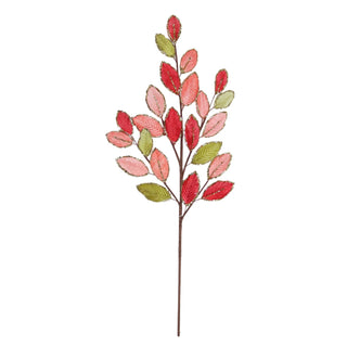 Multicolored Elaeagnus Spray