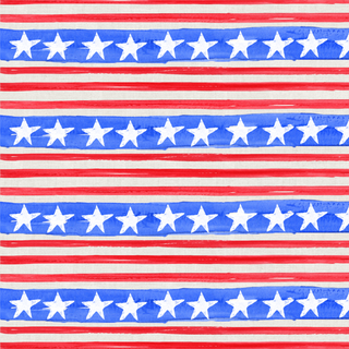 Stars & Stripes Vinyl Floor Mat