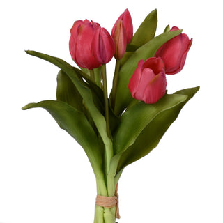 Red Tulip Bundle