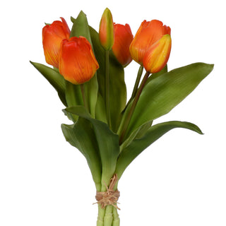 Orange Tulip Bundle