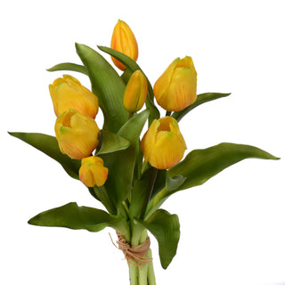Yellow Tulip Bundle