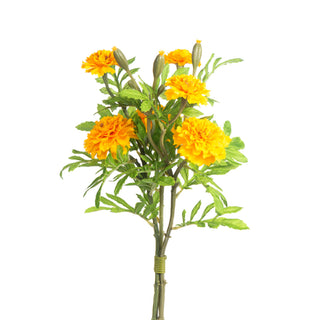 Yellow Marigold Bundle