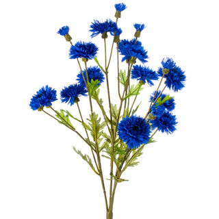 Dark Blue Cornflower Stem