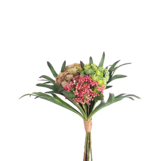 Mixed Succulent Bundle