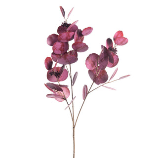 Silver Dollar Eucalyptus Stem