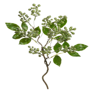 Green Berry Branch