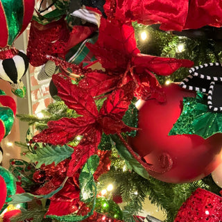 Red Velvet Poinsettia
